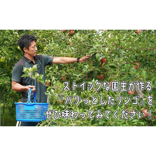 ふるさと納税 青森県 弘前市  9〜10月発送 家庭用 トキ 約5kg【弘前市産・青森りんご】｜furusatochoice｜06