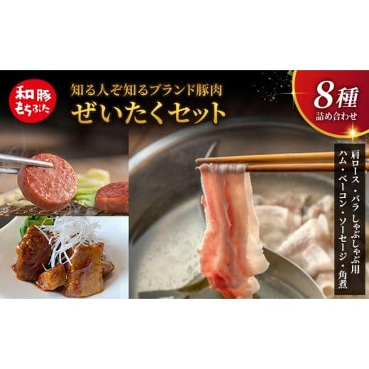 ふるさと納税 豚肉 ロース 宮城県 大河原町 もちぶた 詰め合わせ 肩ロース バラ しゃぶしゃぶ 400g ハム ベーコン 角煮 セット 和豚 もち豚 豚肉 ポーク 肉 豚…