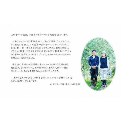 ふるさと納税 石鹸 固形石鹸 香川県 小豆島町 小豆島産オーガニックオリーブ石鹸 80g 食用の小豆島産有機EXVオリーブオイルで作った石鹸の画像