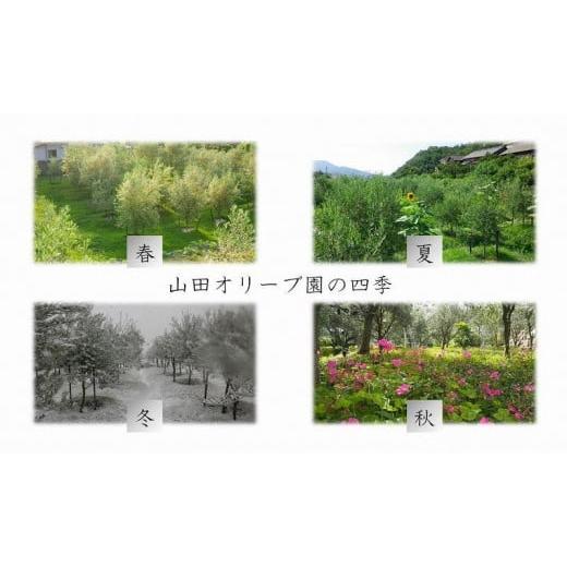 ふるさと納税 石鹸 固形石鹸 香川県 小豆島町 小豆島産オーガニックオリーブ石鹸 80g 食用の小豆島産有機EXVオリーブオイルで作った石鹸の画像