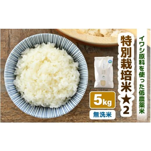 ふるさと納税 無洗米 福井県 あわら市 令和7年産 特別栽培米 コシヒカリ 無洗米 5kg 低農薬 / 北陸 福井県産 あわら市 ブランド米 白米 お米 コメ 特栽米 aw…