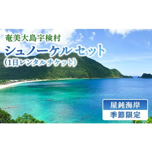 ふるさと納税 イベントやチケット等 鹿児島県 宇検村 [体験]屋鈍の海でシュノーケル(1日レンタルチケット)マリン レジャー 海 旅行 観光 体験 海 水泳 自…