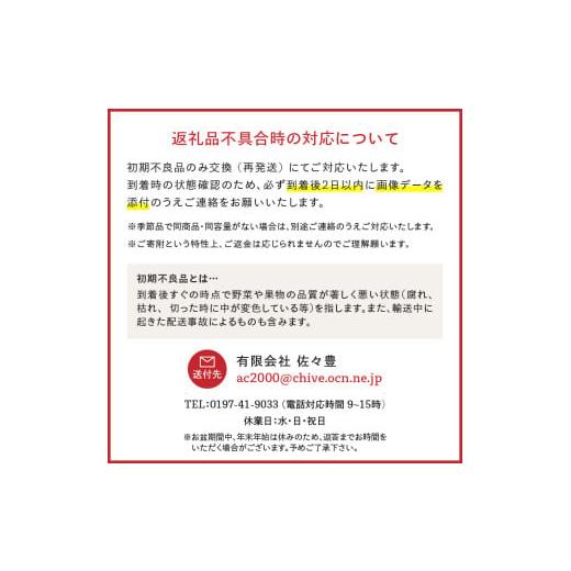 ホイールステッカーリムデカー ホイールこしきデカール-decal