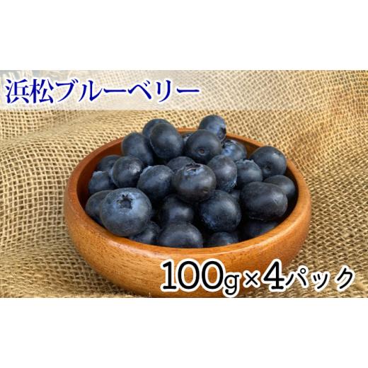 ふるさと納税 果物類 静岡県 浜松市 2026年5月下旬より順次発送 太陽いっぱい大地のジュエリー 浜松産ブルーベリー 400g 配送不可:離島 果物 フルーツ 小分…