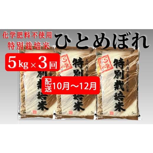 ふるさと納税 米 ひとめぼれ 山形県 三川町 定期便3回 10月11月12月 エコファームのひとめぼれ5kg×3回 配送 10月11月12月