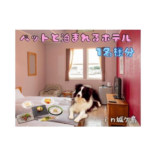 ふるさと納税 ホテル 神奈川県 三浦市 ペットと泊まる宿CARO FORESTA城ヶ島遊ヶ崎BASEスタンダードルーム宿泊券 1泊2食付き (大人1名様分) M076-002-01