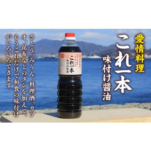 ふるさと納税 醤油 広島県 江田島市  これ1本で美味しい味付 これ1本味付け醤油 1L×2本 健康 簡単 和食 料理 醤油 しょう油 しょうゆ お醤油 セット 詰め合わ…の画像