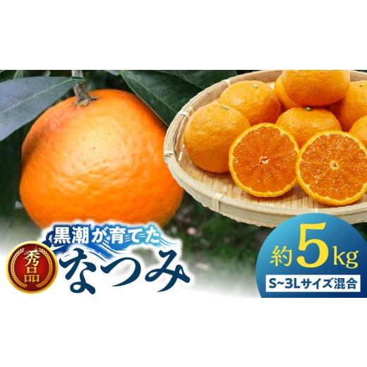 ふるさと納税 みかん・柑橘類 和歌山県 湯浅町 AE6112_ 秀品 黒潮が育てた なつみ(カラ) 約5kg (S~3Lサイズ混合)