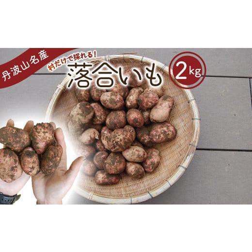 ふるさと納税 野菜類 じゃがいも 山梨県 丹波山村 先行予約 丹波山村の在来種 ジャガイモ 落合いも 約2kg / 2026年8月より順次発送 希少 数量限定 地野菜 …