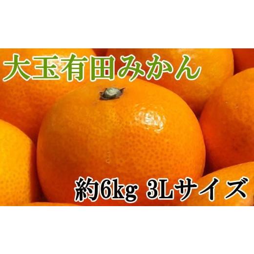 ふるさと納税 和歌山県 古座川町 [秀品]和歌山有田みかん 6kg(3Lサイズ) ※2024年11月中旬〜1月中旬頃順次発送