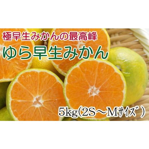 ふるさと納税 果物類 みかん 和歌山県 古座川町 極早生みかんの逸品 有田産ゆら早生みかん 約5kg 先行予約 2026年10月中旬〜2026年11月中旬頃より順次発送 み…