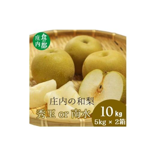 ふるさと納税 梨 山形県 三川町 食の都庄内 庄内の和梨 秀玉or南水 約10kg 9月中旬ごろより順次配送の画像