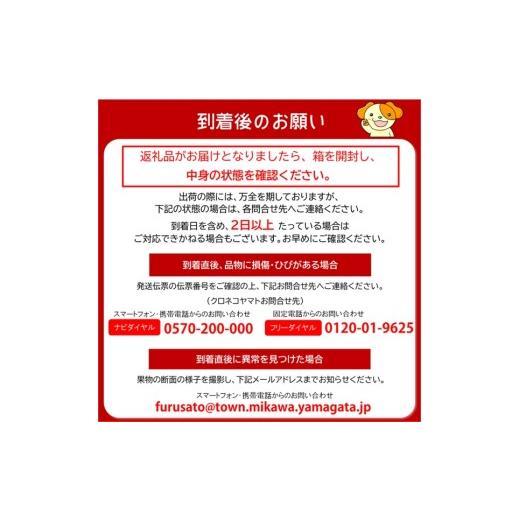 ふるさと納税 梨 山形県 三川町 食の都庄内 庄内の和梨 秀玉or南水 約10kg 9月中旬ごろより順次配送の画像