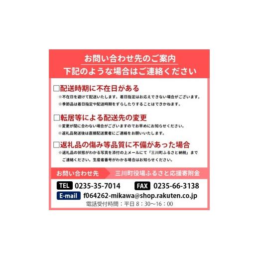 ふるさと納税 梨 山形県 三川町 食の都庄内 庄内の和梨 秀玉or南水 約10kg 9月中旬ごろより順次配送の画像