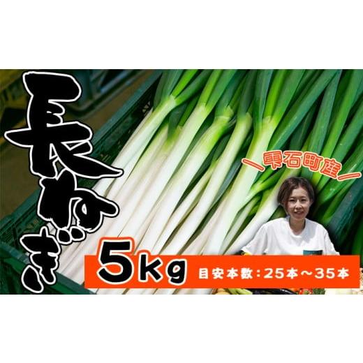 ふるさと納税 野菜類 ねぎ 岩手県 雫石町 岩手県産 極楽野 長ねぎ 5kg 目安本数 25本 〜 35本 高橋農園 / 長ネギ 長葱 ねぎ ネギ 葱 白ねぎ 白ネギ 白葱 新鮮…