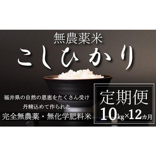 ふるさと納税 米 コシヒカリ 福井県 越前市 [令和7年産] 定期便12回 無農薬米10kg×12回(こしひかり)玄米 玄米