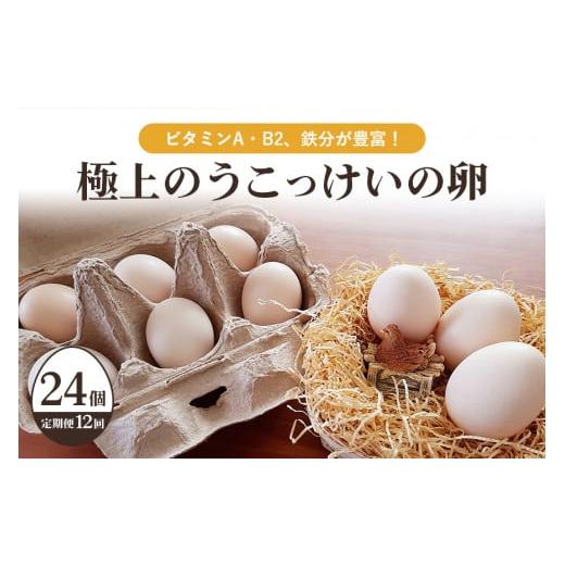 ふるさと納税 茨城県 小美玉市 平飼い極上のうこっけいの卵　24個（20＋補償4個）×定期便12回【12か月定期便】 たまご タマゴ 玉子 烏骨鶏 烏骨鶏の卵 安全 …     商品情報    容量平飼い烏骨鶏の卵　24個　を1年間（毎月）お届けいたします。合計12回発送消費期限【7月〜9月】賞味期限：2週間（生食の場合）消費期限：賞味期限より1