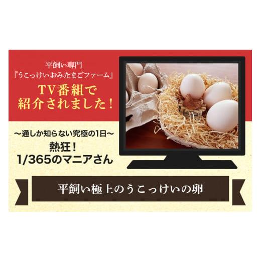 ふるさと納税 茨城県 小美玉市 平飼い極上のうこっけいの卵　24個（20＋補償4個）×定期便12回【12か月定期便】 たまご タマゴ 玉子 烏骨鶏 烏骨鶏の卵 安全 …     商品情報    容量平飼い烏骨鶏の卵　24個　を1年間（毎月）お届けいたします。合計12回発送消費期限【7月〜9月】賞味期限：2週間（生食の場合）消費期限：賞味期限より1