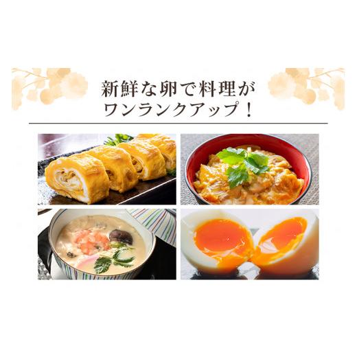 ふるさと納税 茨城県 小美玉市 平飼い極上のうこっけいの卵　24個（20＋補償4個）×定期便12回【12か月定期便】 たまご タマゴ 玉子 烏骨鶏 烏骨鶏の卵 安全 …     商品情報    容量平飼い烏骨鶏の卵　24個　を1年間（毎月）お届けいたします。合計12回発送消費期限【7月〜9月】賞味期限：2週間（生食の場合）消費期限：賞味期限より1