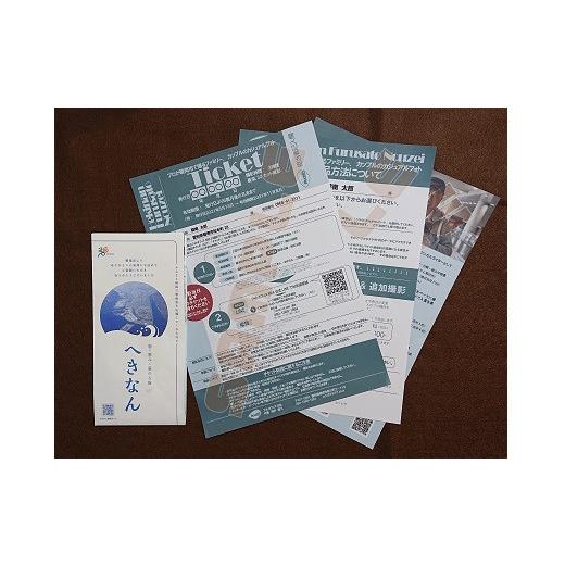 ふるさと納税 体験チケット 愛知県 碧南市  月に１回限定 プロのフォトグラファーが碧南市で撮るファミリー、カップルのカジュアルフォト H148-007の画像