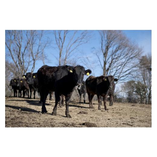 ふるさと納税 山梨県 北杜市 但馬家幸之助お食事券【9000円分】｜furusatochoice｜06