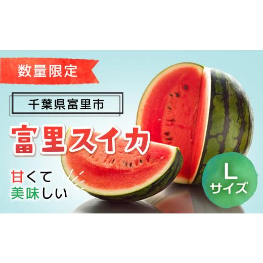 ふるさと納税 千葉県 富里市 富里スイカ(Lサイズ)1玉 TMF005 すいか スイカ 西瓜 千葉県 富里市 果物 フルーツ 採れたて とれたて 産地直送 農家直送 千葉県…