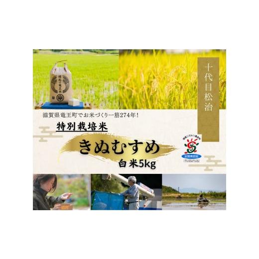 ふるさと納税 米 きぬむすめ 滋賀県 竜王町 米 きぬむすめ 白米 5kg 縁起の竜王米 ( 令和7年産米 白米 5kg おこめ ごはん 米 特別栽培米 ブランド米 ライス こ…