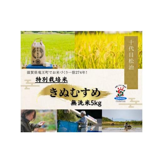 ふるさと納税 米 きぬむすめ 滋賀県 竜王町 米 きぬむすめ 無洗米 5kg 縁起の竜王米 ( 令和7年産米 無洗米 5kg おこめ ごはん 米 特別栽培米 ブランド米 ライ…