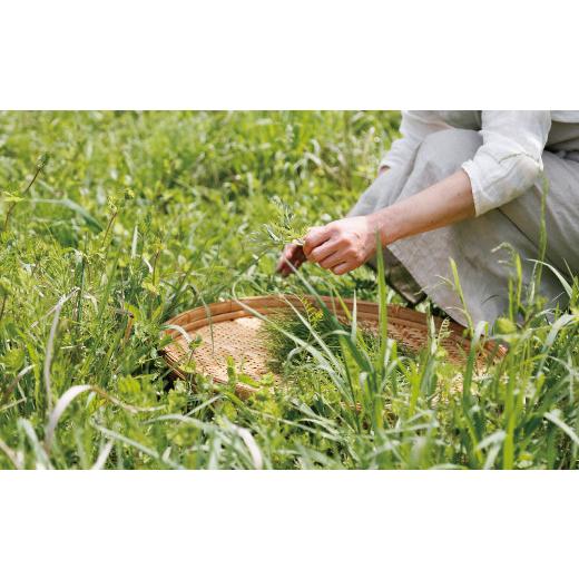 ふるさと納税 お茶類 大分県 豊後大野市 019-540 発酵野草茶 3個セット 計180g カフェインフリー 健康茶の画像