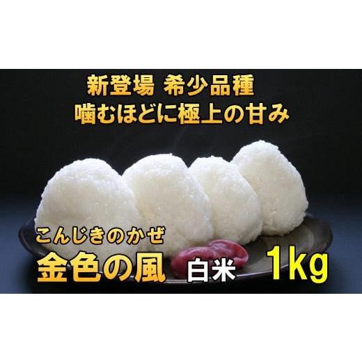 ふるさと納税 米 岩手県 奥州市 新米 新登場の高級米 令和7年産 岩手県奥州市産 金色の風 白米1kg 7日以内発送 おこめ ごはん ブランド米 AC024 白米1kg