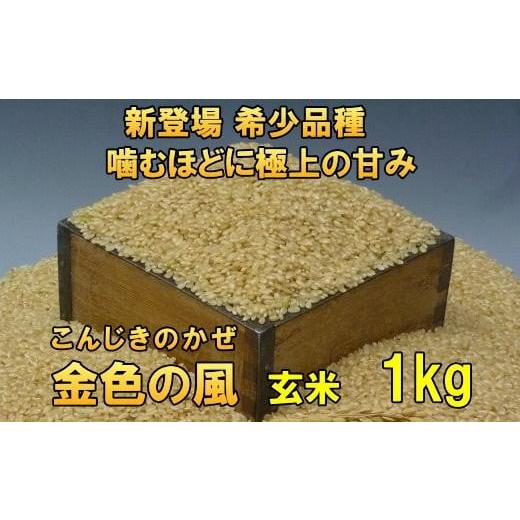 ふるさと納税 玄米 岩手県 奥州市 新米 新登場の高級米 令和7年産 岩手県奥州市産 金色の風 玄米1kg 7日以内発送 おこめ ごはん ブランド米 AC024 玄米1kg