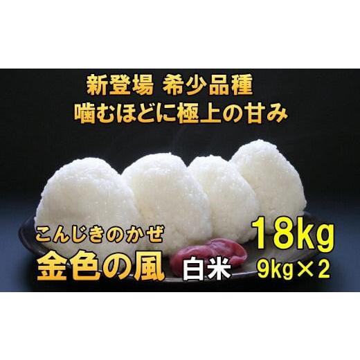 ふるさと納税 米 岩手県 奥州市 新米 新登場の高級米 令和7年産 岩手県奥州市産 金色の風 白米18kg 7日以内発送 おこめ ごはん ブランド米 AC033 白米