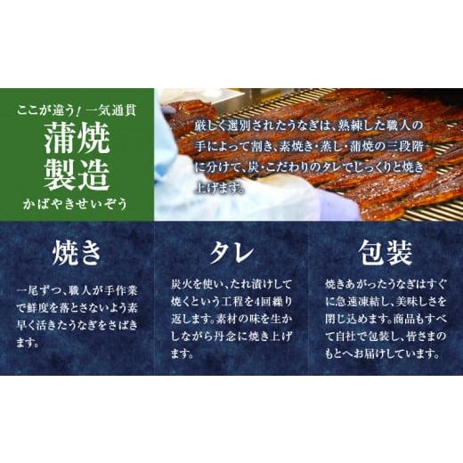 ふるさと納税 宮崎県 都農町 うなぎ蒲焼特大3尾(さんしょう・たれ付き)計600g以上 鰻 魚 魚介 加工品 国産_T026-002｜furusatochoice｜04