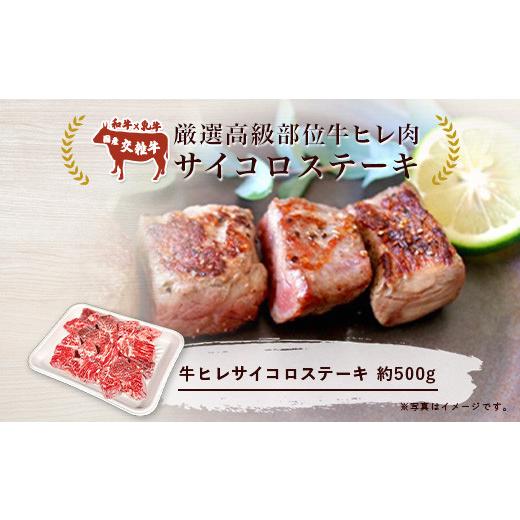 ふるさと納税 茨城県 つくば市 厳選高級部位牛ヒレ肉サイコロステーキ500g＜離島・沖縄配送不可＞【 牛肉 牛 ステーキ 国産 】｜furusatochoice｜03