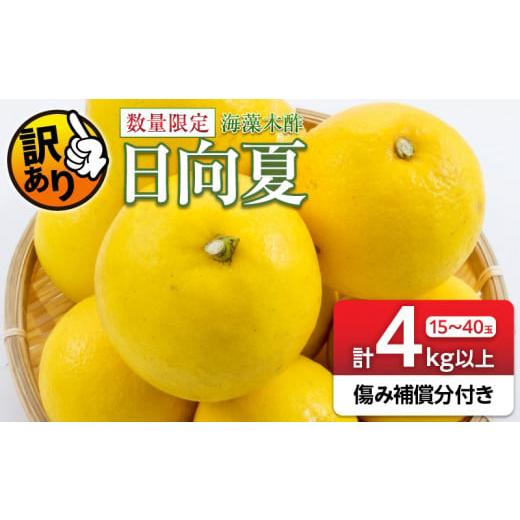 ふるさと納税 自治体にお任せ 宮崎県 日南市 先行予約 訳あり 海藻木酢 日向夏 小夏 計4kg以上 傷み補償分入り 期間限定 数量限定 フルーツ 果物 くだもの 柑… |  | 01