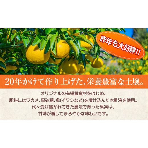 ふるさと納税 自治体にお任せ 宮崎県 日南市 先行予約 訳あり 海藻木酢 日向夏 小夏 計4kg以上 傷み補償分入り 期間限定 数量限定 フルーツ 果物 くだもの 柑… |  | 02