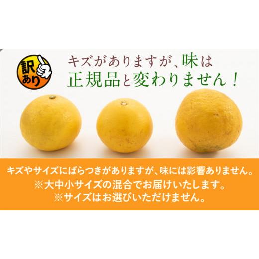 ふるさと納税 自治体にお任せ 宮崎県 日南市 先行予約 訳あり 海藻木酢 日向夏 小夏 計4kg以上 傷み補償分入り 期間限定 数量限定 フルーツ 果物 くだもの 柑… |  | 03