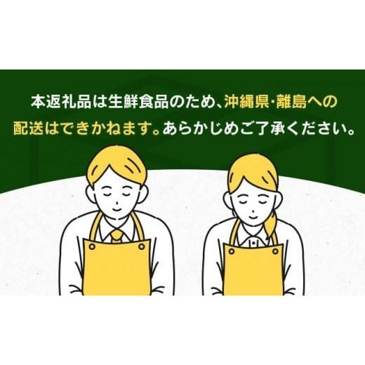ふるさと納税 自治体にお任せ 宮崎県 日南市 先行予約 訳あり 海藻木酢 日向夏 小夏 計4kg以上 傷み補償分入り 期間限定 数量限定 フルーツ 果物 くだもの 柑… |  | 07