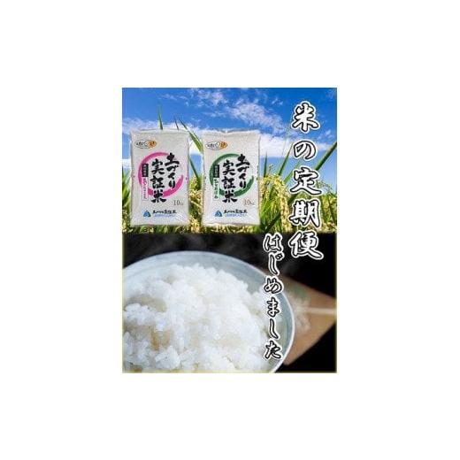 ふるさと納税 秋田県 由利本荘市 【白米】《定期便》 10kg (5kg袋小分け) ×11回 令和5年産 あきたこまち 土作り実証米 合計110kg 秋田県産 ふるさと納税 秋田県 由利本荘市 【白米】《定期便》 10kg (5kg袋小分け) ×11回 令和5年産 あきたこまち 土作り実証米 合計110kg 秋田県産