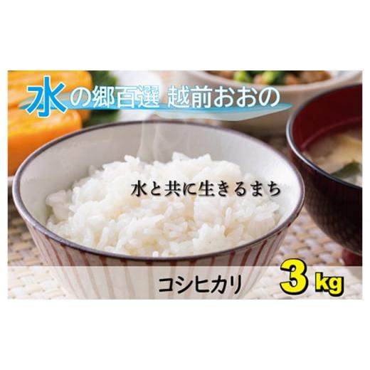 ふるさと納税 福井県 大野市 [令和5年産]こしひかり(福井県大野市産)エコファーマー(白米)3kg