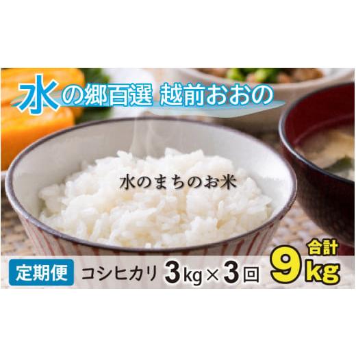 ふるさと納税 米 コシヒカリ 福井県 大野市 令和7年産 新米 3ヶ月定期便 こしひかり 3kg×3回 計9kg 白米 「エコファーマー米」水のまちのお米