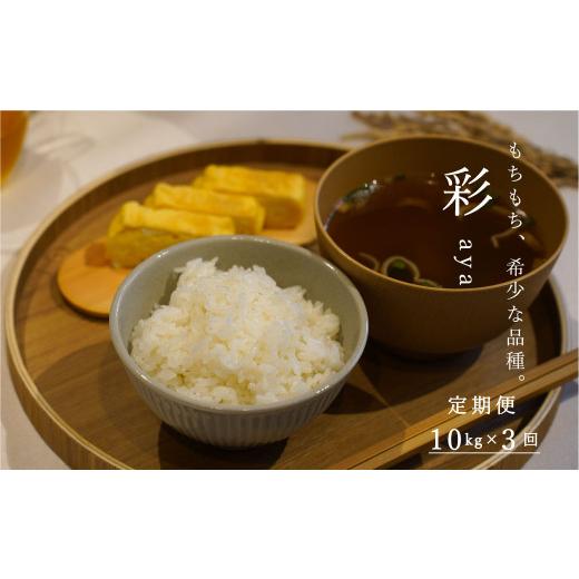 ふるさと納税 米 北海道 当麻町  令和８年産先行受付 長谷川農園彩10kg（3回コース） 定期便の画像
