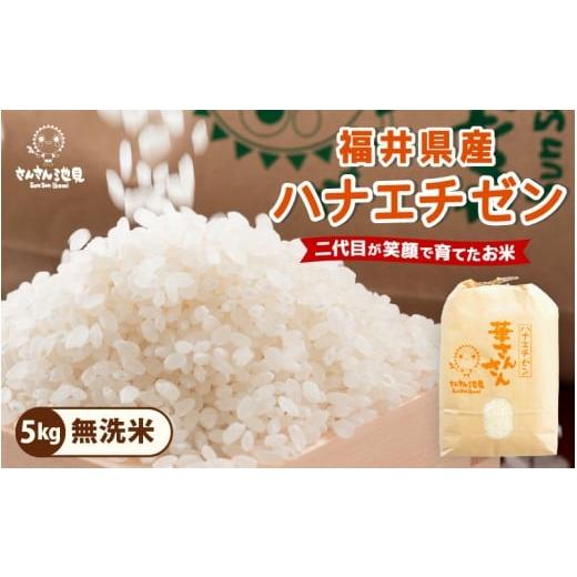 ふるさと納税 米 福井県 坂井市 令和7年産・新米 ハナエチゼン 5kg 華越前 〜坂井市三国町産・こだわりの精米対応〜(無洗米) A-0255_05 無洗米