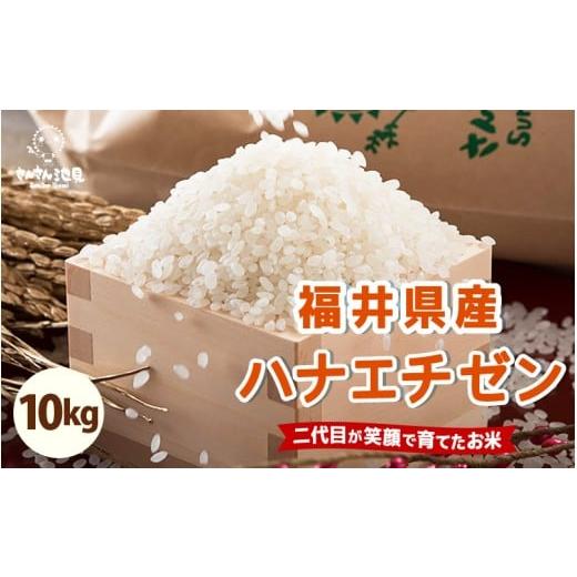 ふるさと納税 福井県 坂井市 [先行予約][令和6年産・新米]さんさん池見二代目の 福井県産 ハナエチゼン 10kg (無洗米)[2024年8月下旬以降順次発送予定…