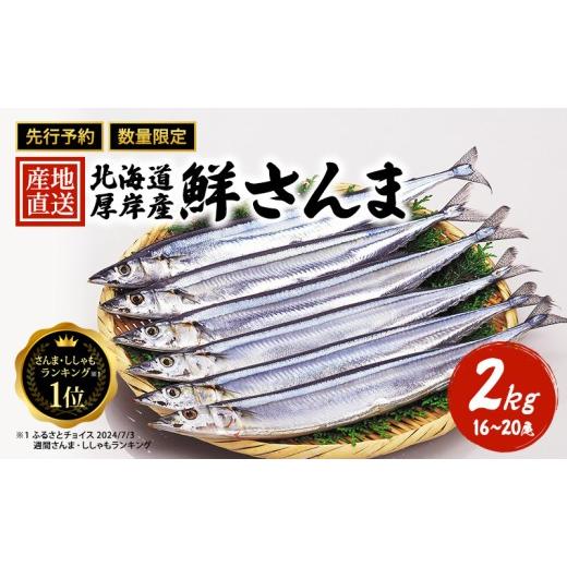 ふるさと納税 魚貝類 さんま 北海道 厚岸町 先行予約 産地直送 北海道 厚岸産 刺身用 鮮さんま 2kg（16〜20尾） サンマ 秋刀魚 さんま 鮮魚 魚介類 海産 生さ…_1