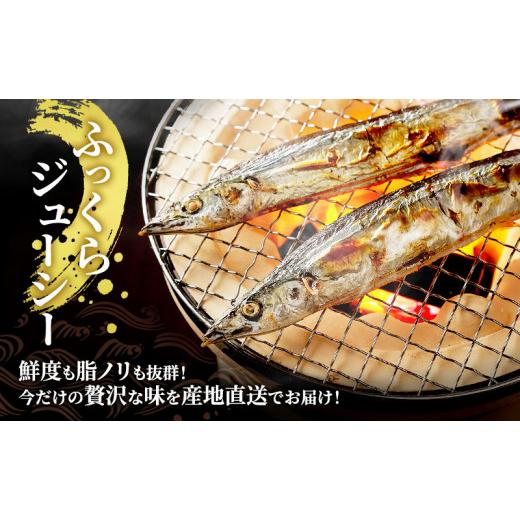 ふるさと納税 魚貝類 さんま 北海道 厚岸町 先行予約 産地直送 北海道 厚岸産 刺身用 鮮さんま 2kg（16〜20尾） サンマ 秋刀魚 さんま 鮮魚 魚介類 海産 生さ…_3