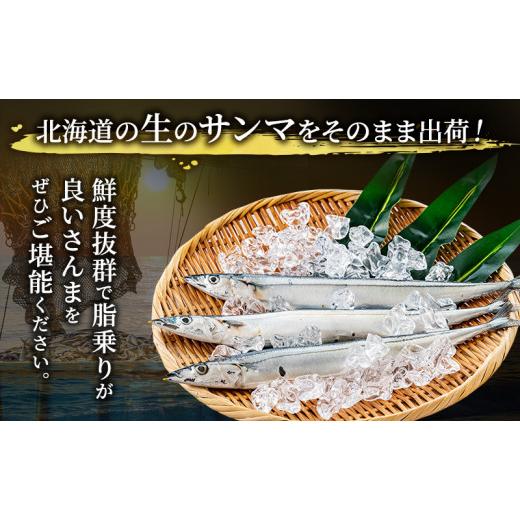 ふるさと納税 魚貝類 さんま 北海道 厚岸町 先行予約 産地直送 北海道 厚岸産 刺身用 鮮さんま 2kg（16〜20尾） サンマ 秋刀魚 さんま 鮮魚 魚介類 海産 生さ…_4