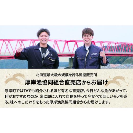 ふるさと納税 魚貝類 さんま 北海道 厚岸町 先行予約 産地直送 北海道 厚岸産 刺身用 鮮さんま 2kg（16〜20尾） サンマ 秋刀魚 さんま 鮮魚 魚介類 海産 生さ…_6