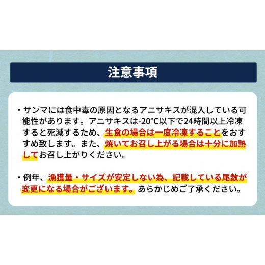 ふるさと納税 魚貝類 さんま 北海道 厚岸町 先行予約 産地直送 北海道 厚岸産 刺身用 鮮さんま 2kg（16〜20尾） サンマ 秋刀魚 さんま 鮮魚 魚介類 海産 生さ…_7