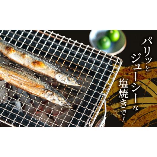 ふるさと納税 魚貝類 さんま 北海道 厚岸町 先行予約 産地直送 北海道 厚岸産 刺身用 鮮さんま 2kg（16〜20尾） サンマ 秋刀魚 さんま 鮮魚 魚介類 海産 生さ…_8